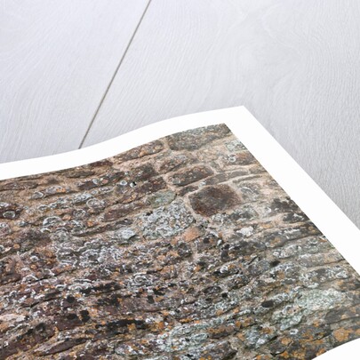 Old brick wall by Assaf Frank